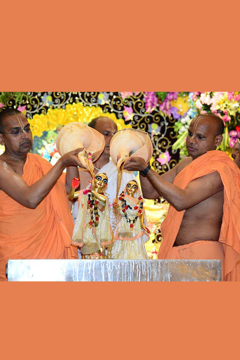 Festival celebrations